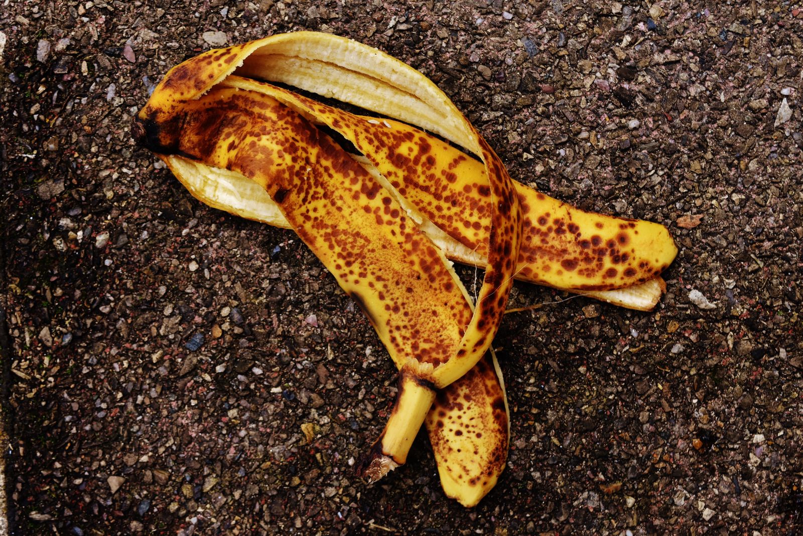 La peau de banane contient plusieurs nutriments et enrichit le sol au jardin bio. © Alexas_Fotos, Pixabay